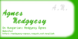 agnes medgyesy business card